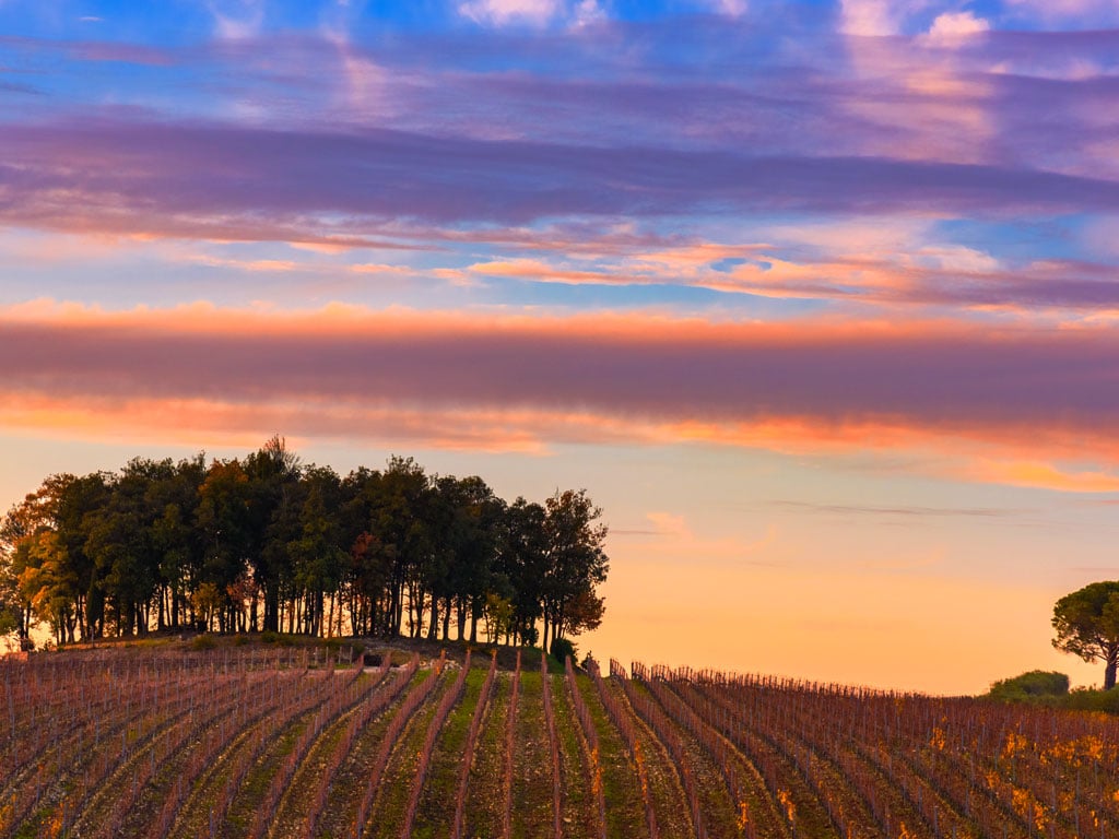 Week-end Haut de gamme - Trip With Me